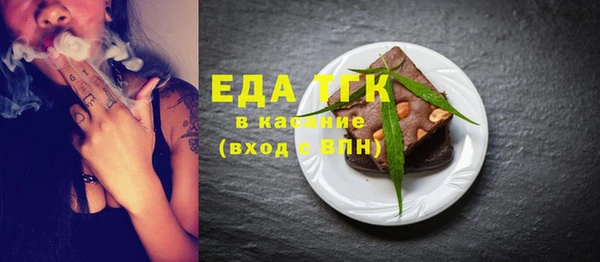 индика Абаза