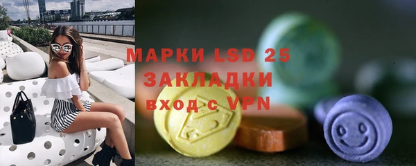 индика Абаза