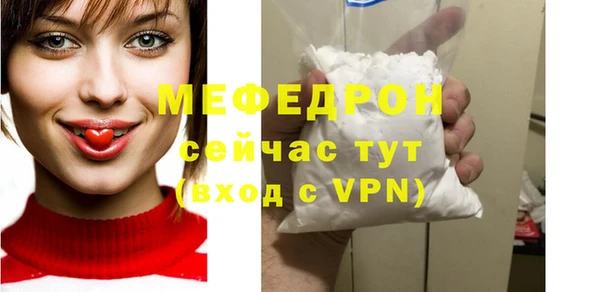 индика Абаза
