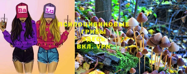 индика Абаза