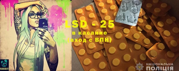 индика Абаза