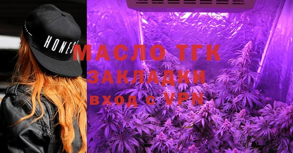 индика Абаза