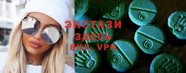 индика Абаза