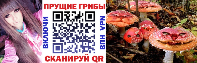 Псилоцибиновые грибы прущие грибы  Полтавская 